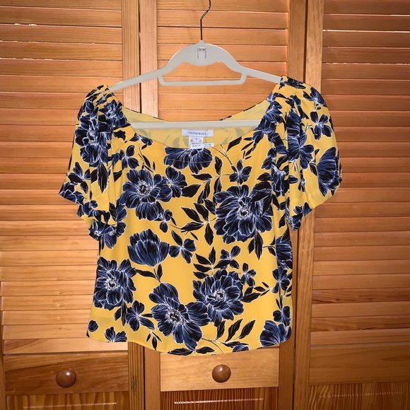 Olivaceous Yellow Top - Picture 1 of 3
